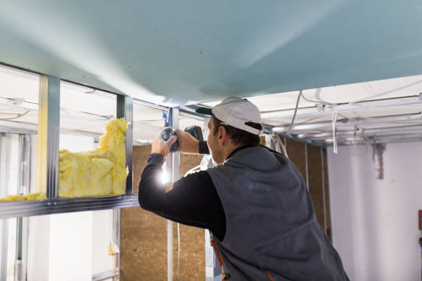 Best Attic Insulation Installation  in Greensburg, KY