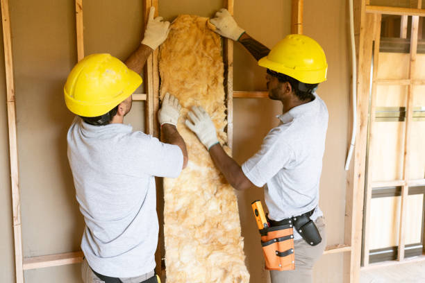 Best Insulation Contractor Near Me  in Greensburg, KY